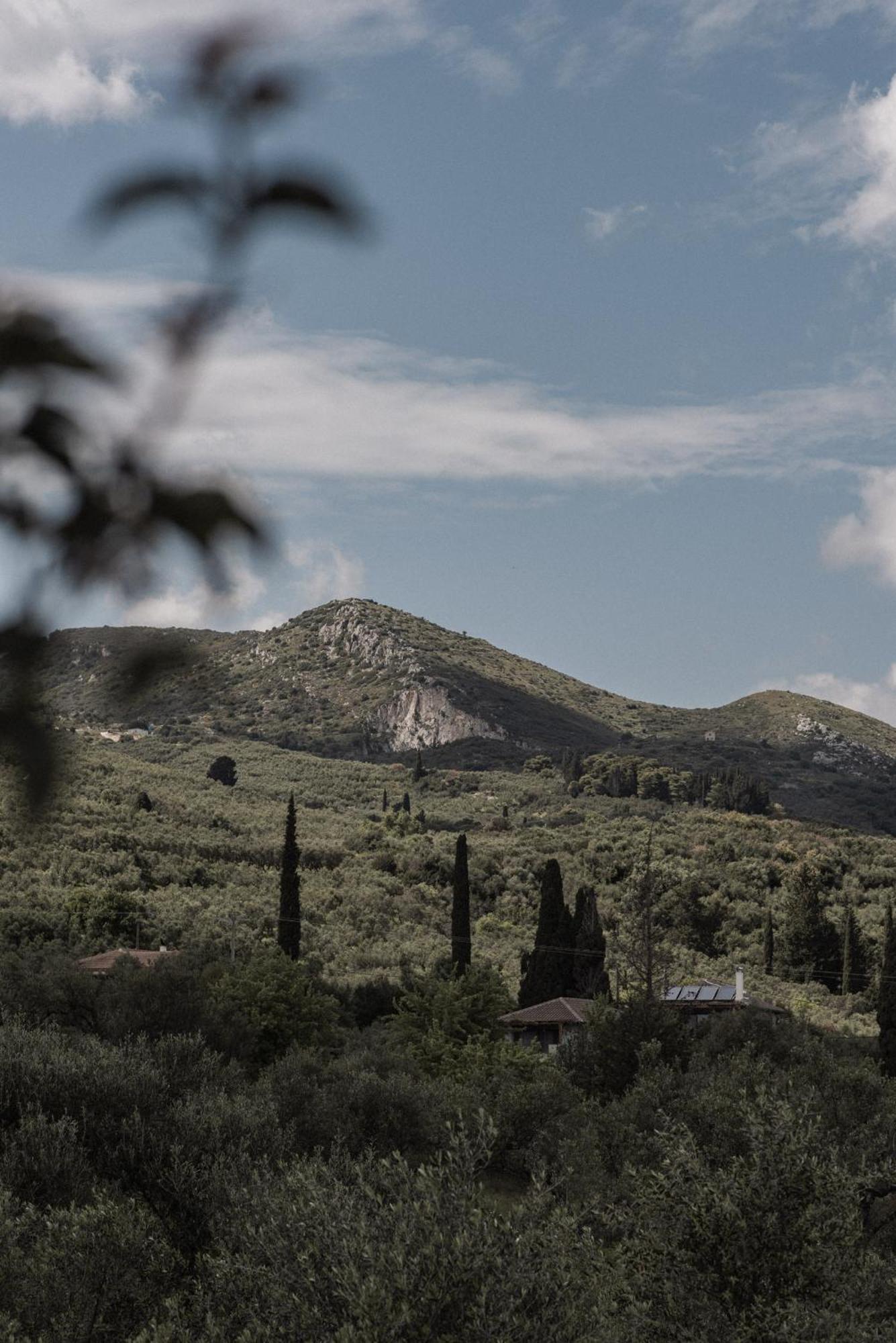 Villa Viatzo - Eclectic With Heated Saltwater Pools